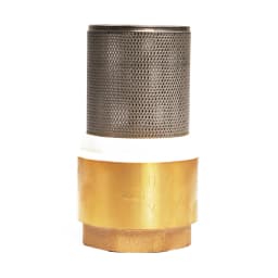 Valvula 2″ Canastillo Acero — miniatura 4